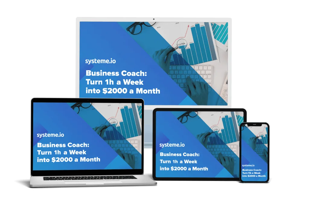 Business coach: Turn 1h of work a week into $2,000 a month- PRL Systeme Video Course